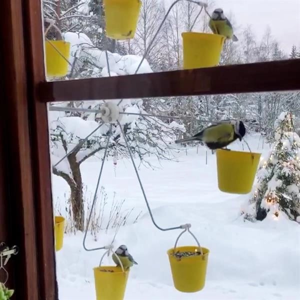 Lenovogo - Ferris Wheel Bird Feeder