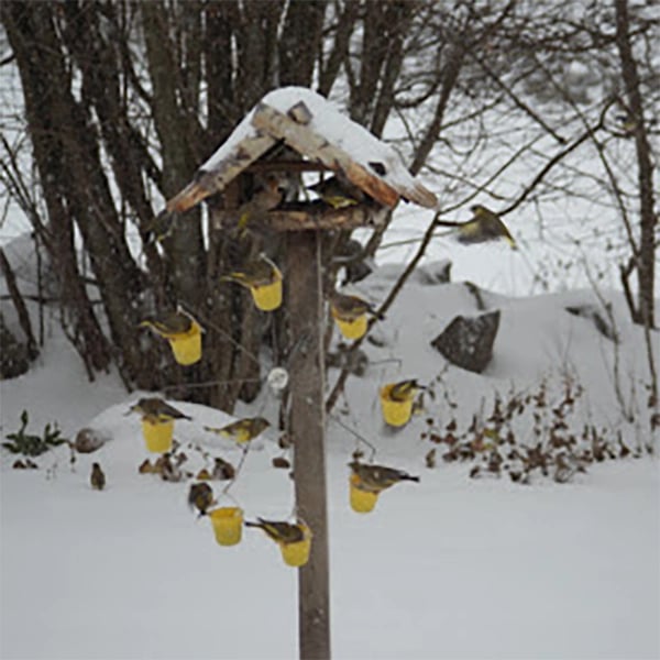 Lenovogo - Ferris Wheel Bird Feeder