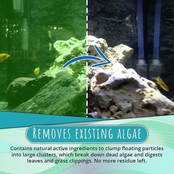 🔥NEW Algae Repellent Agent